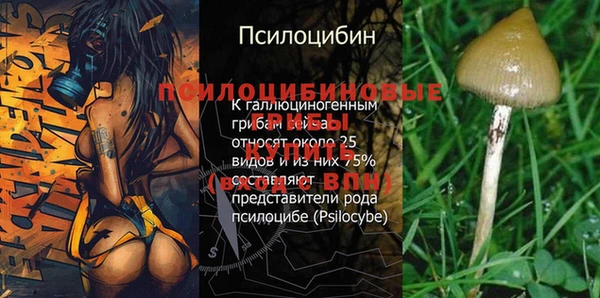 кокс Липки
