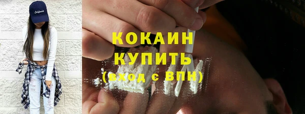 сатива Лабытнанги
