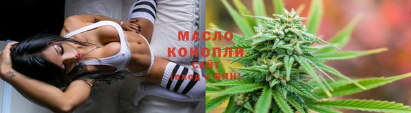 сатива Лабытнанги
