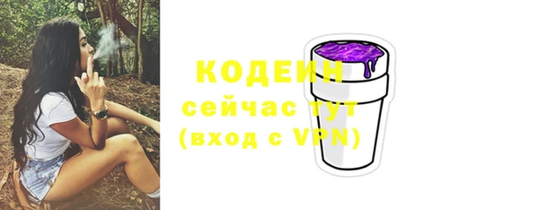 прущий лед Лагань
