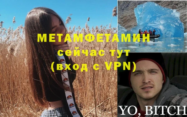сатива Лабытнанги