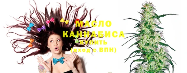 индика Лихославль