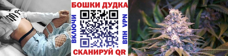 Конопля план  Мостовской 